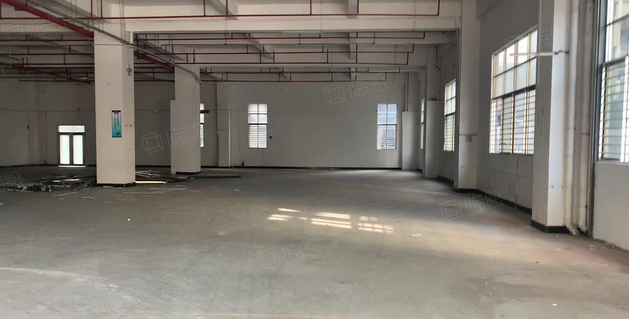 虎门龙眼新出一楼1450平6米高非常适合注塑行业 配电大