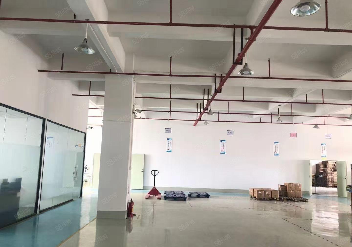 现成注塑环评！虎门怀德新出1100平方带装修现成注塑环评厂房