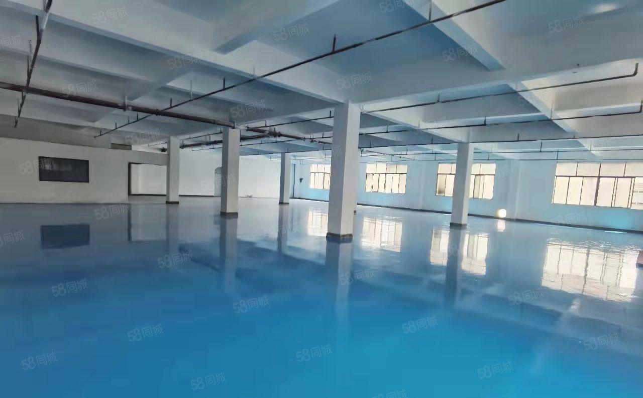虎门镇龙眼工业区园区独栋厂房三层3000平米带装修可以分层租