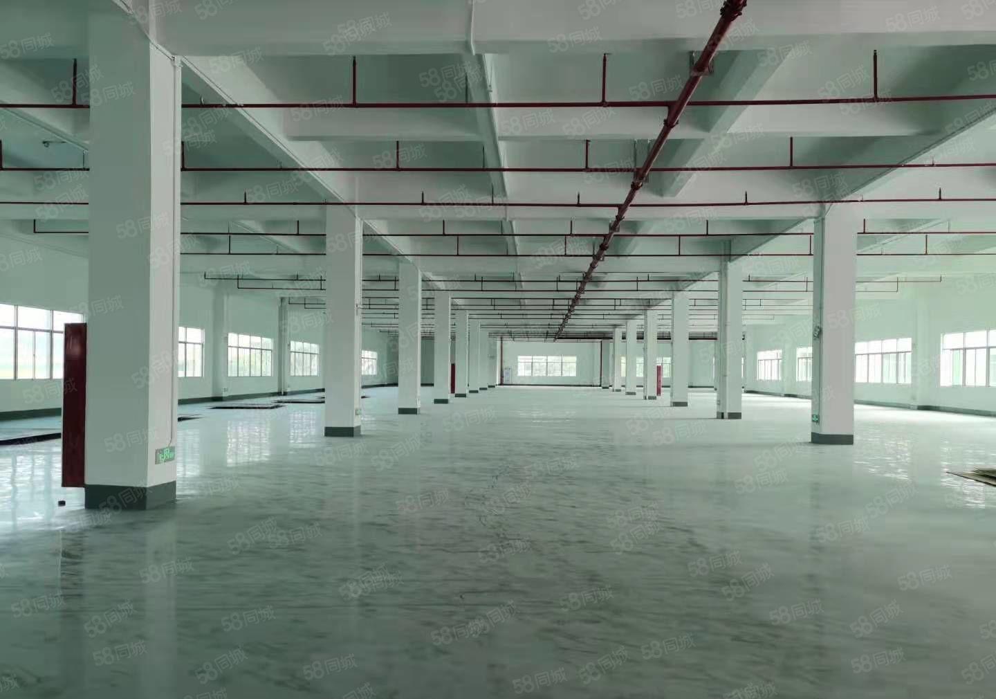 虎门手房东红本独院厂房5万平厂房仓库出租