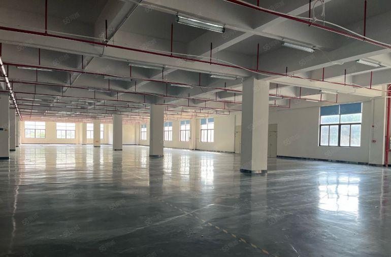 电商云仓行业福音花园式厂房领包入住