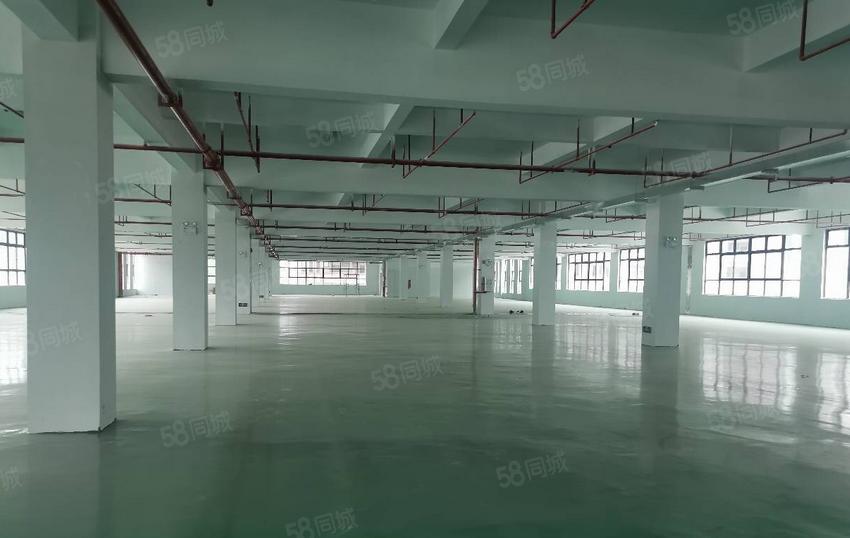 虎门东风社区厂房出租，房东直租，每层650平方