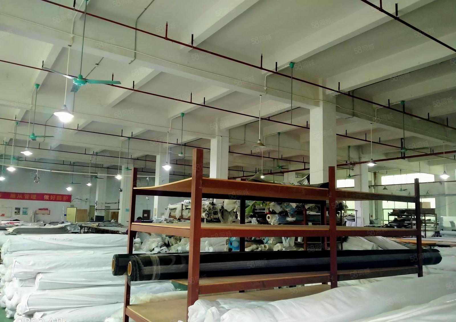 虎门靠厚街标准独院厂房4500平租金11元平方原房东水电齐