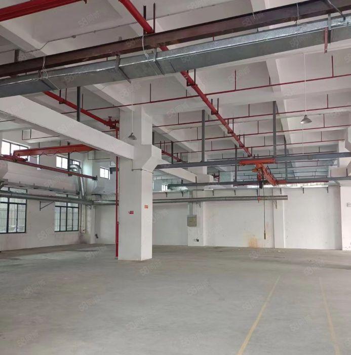 虎门镇白沙新出独院1楼800平带消防喷淋，带牛角低价厂房出租