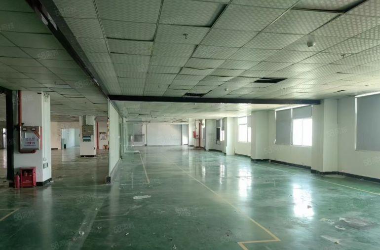 原房东怀德大型园区新楼上一整层水电齐全精装修