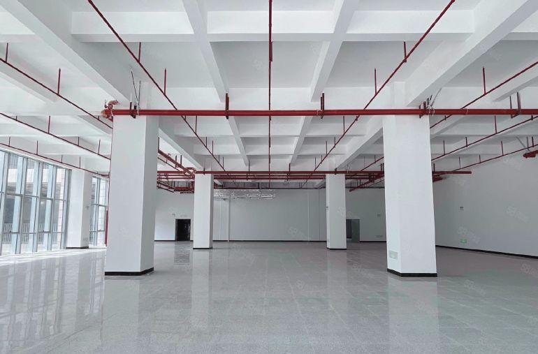 免租期3个月！虎门北柵全新厂房出租，5吨电梯，面积大小可分