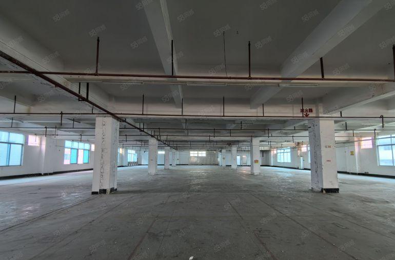 虎门镇南栅独院10000平米厂房出租适合电子五金模具塑胶灯饰