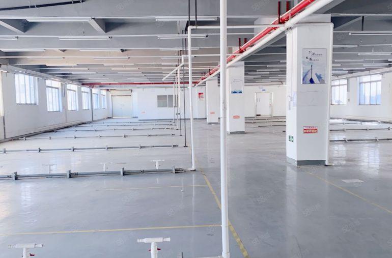 虎门原房东独门独院水电过户8000平方可办环评低价出租