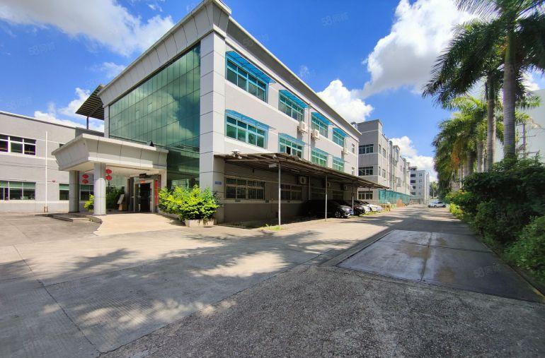 9元可谈虎门沙田长安原房东无公摊4千平一楼仓库厂房出租可分租