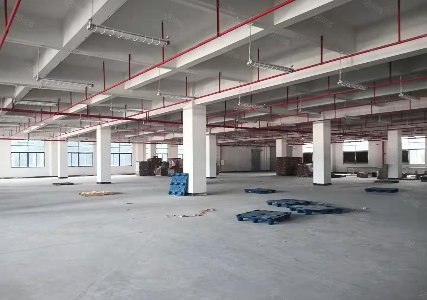 虎门镇北栅原房东独院厂房12000平方厂房出租可以分租