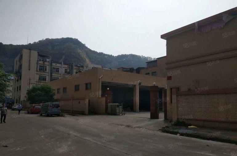 带行车！南栅原房东2300平砖墙到顶 单一层厂房出租！