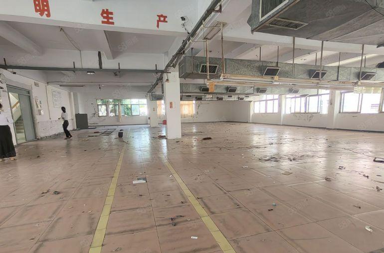 原房东花园式现成装修水电齐全空地超大现成纺织服装电子行业厂房