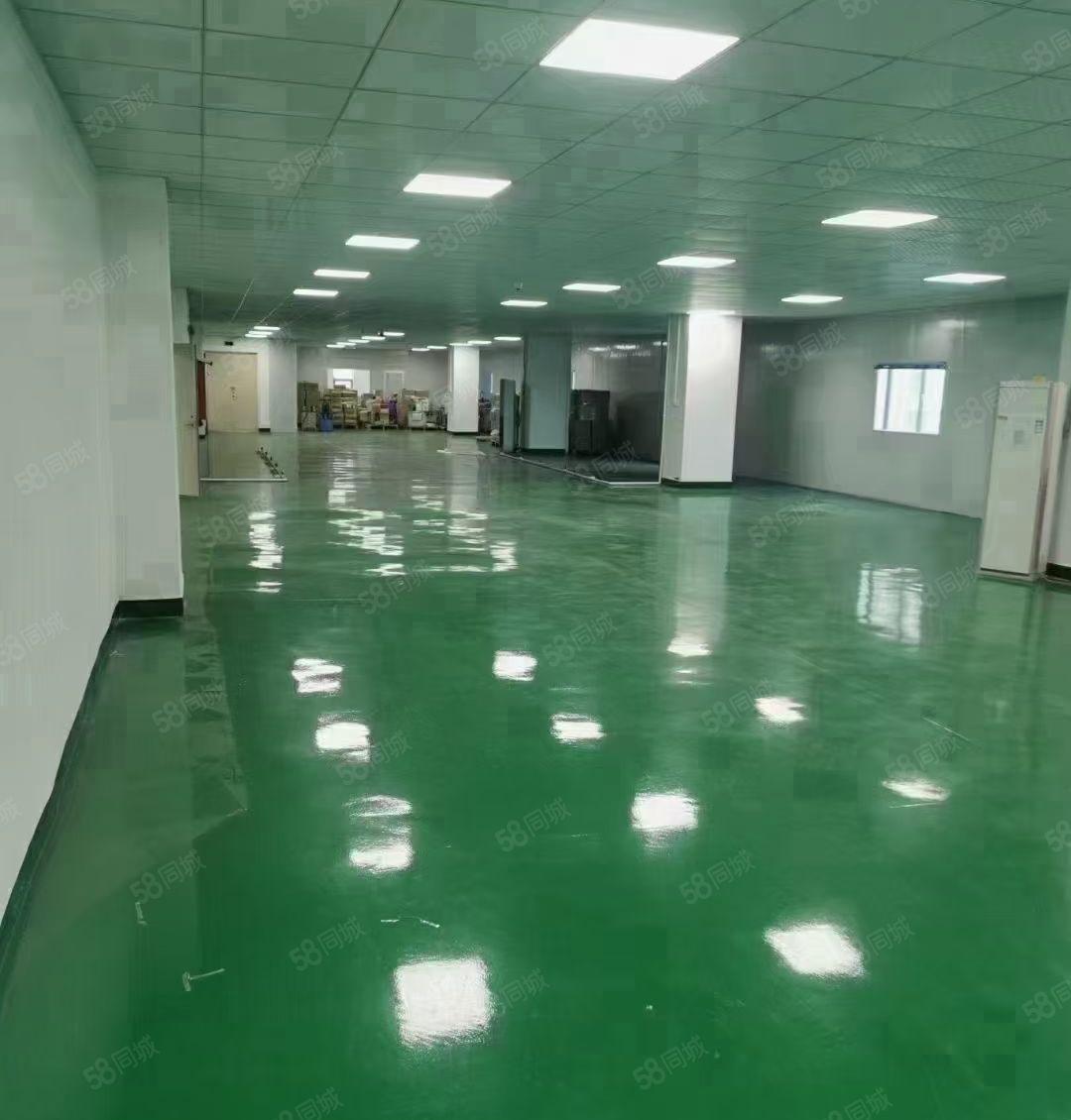 形象厂房 虎门南栅四区新出洁净车间厂房，现成装修，采光充足！