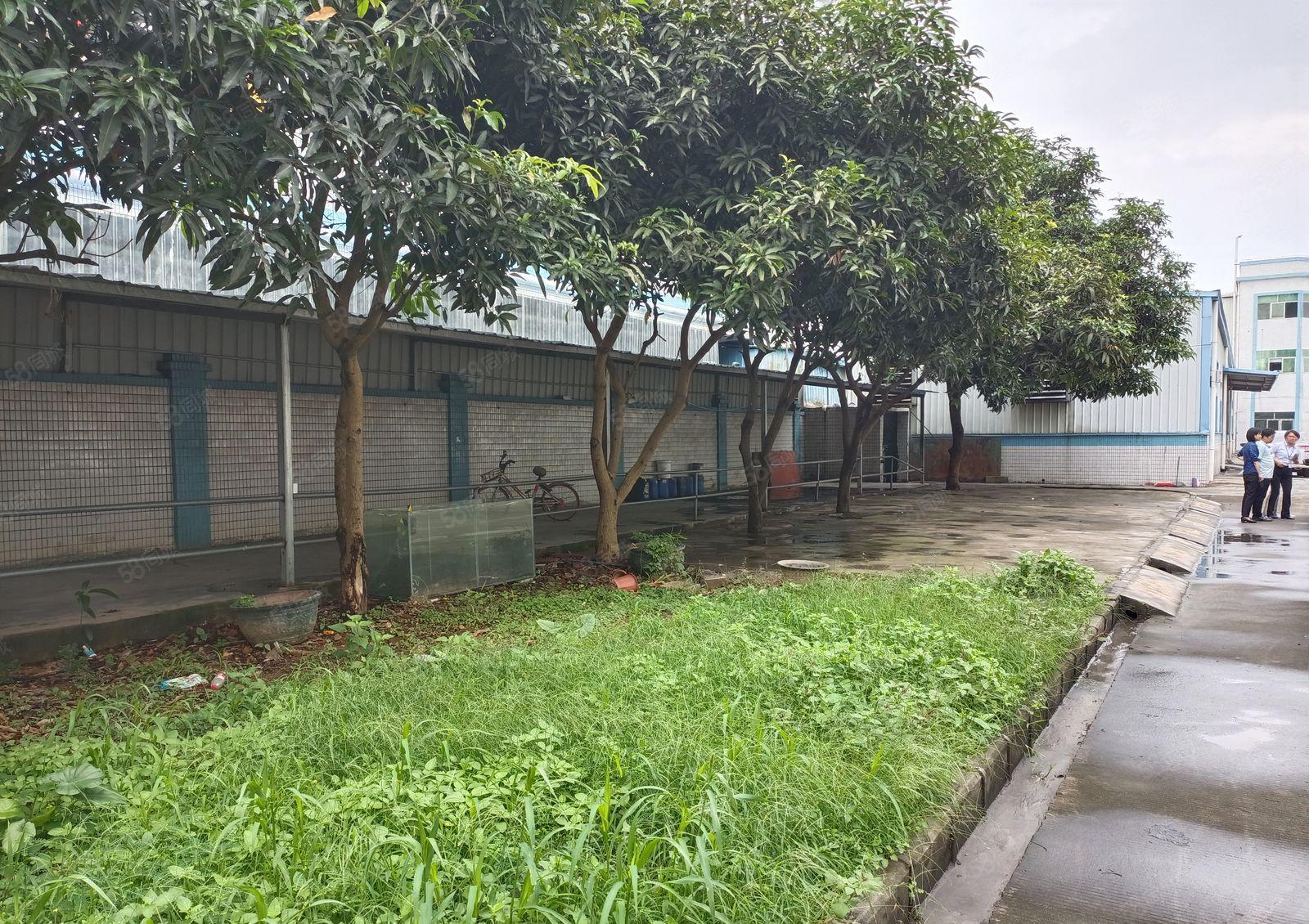 东莞周边原房东个人厂房直租一楼厂房独门独户