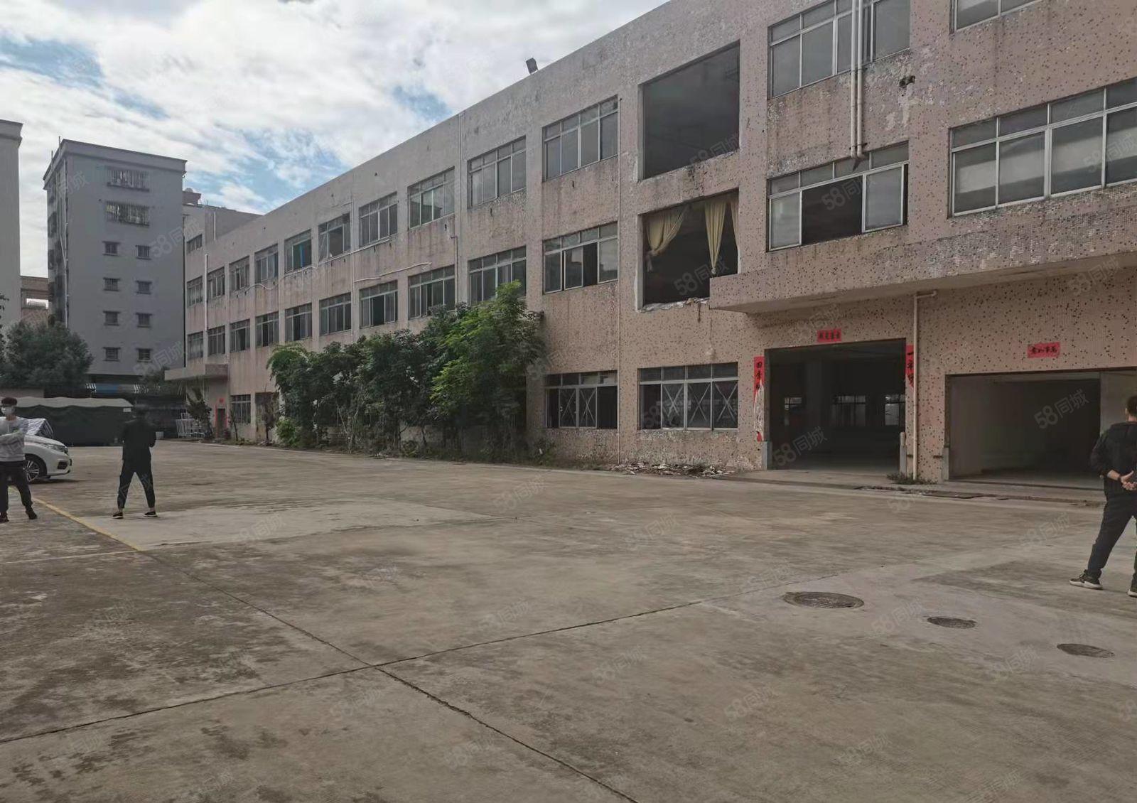 龙眼村新空出原房东独院厂房出租，价格优惠