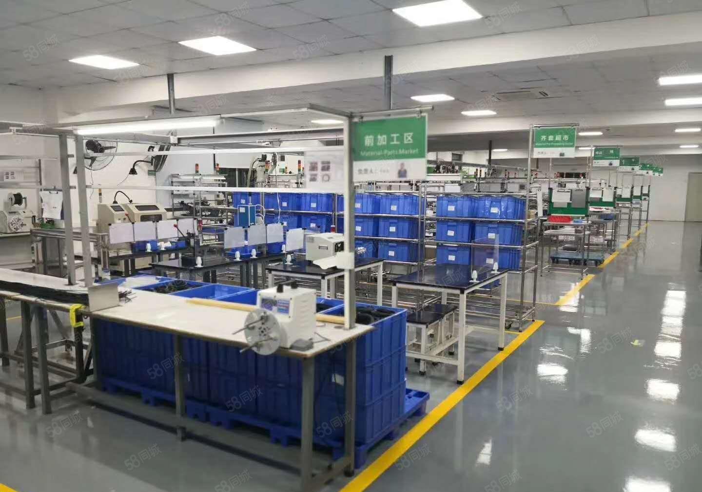 虎门南栅楼上新出精装修1200平水电到位厂房出租仓库出租