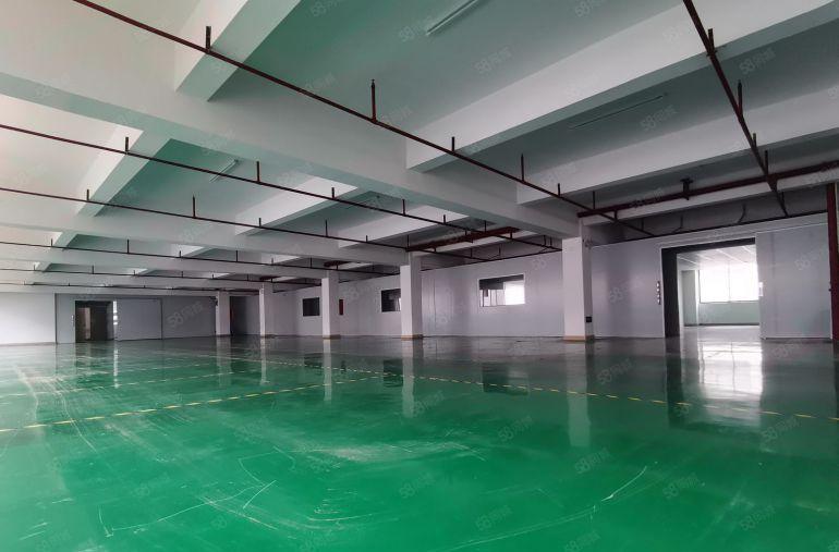 10元起租虎门南栅楼上厂房出租2000平可分租水电齐全带装修