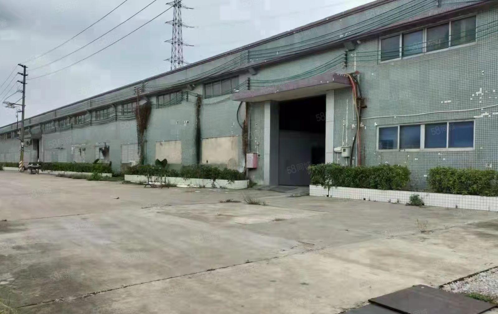 出租园区厂房或仓库虎门路东钢构7800平，宿舍1600平