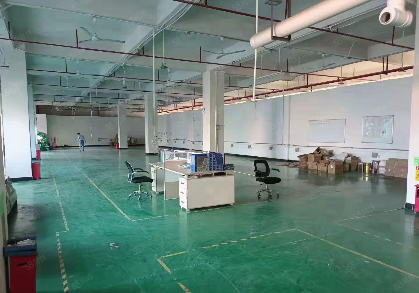 现成装修水电齐全，虎门镇怀德雅瑶新出五楼1250平米出租