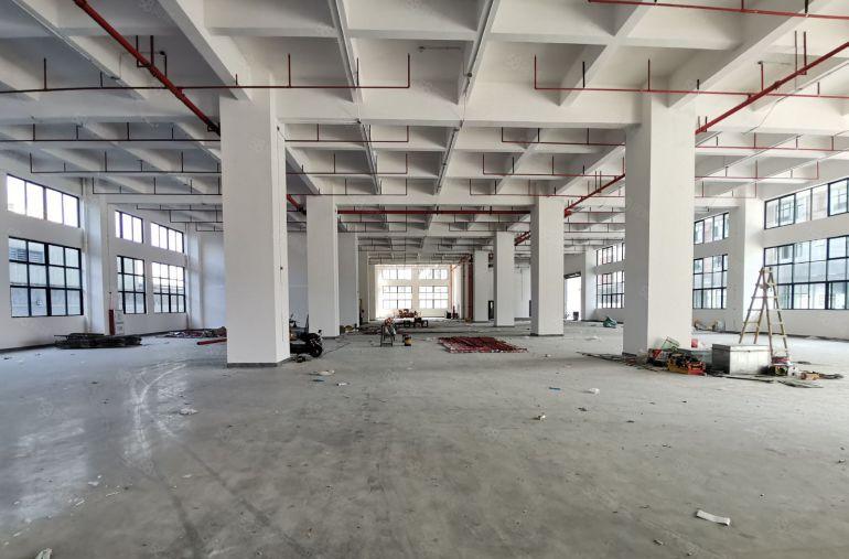 虎门镇新出全新标准厂房一楼