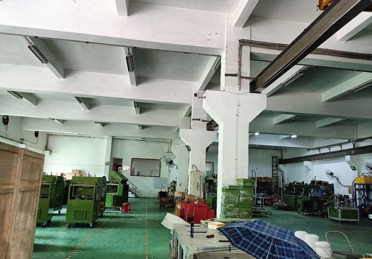 虎门新出独院厂房，形象好空地大 可分租 适合各行业