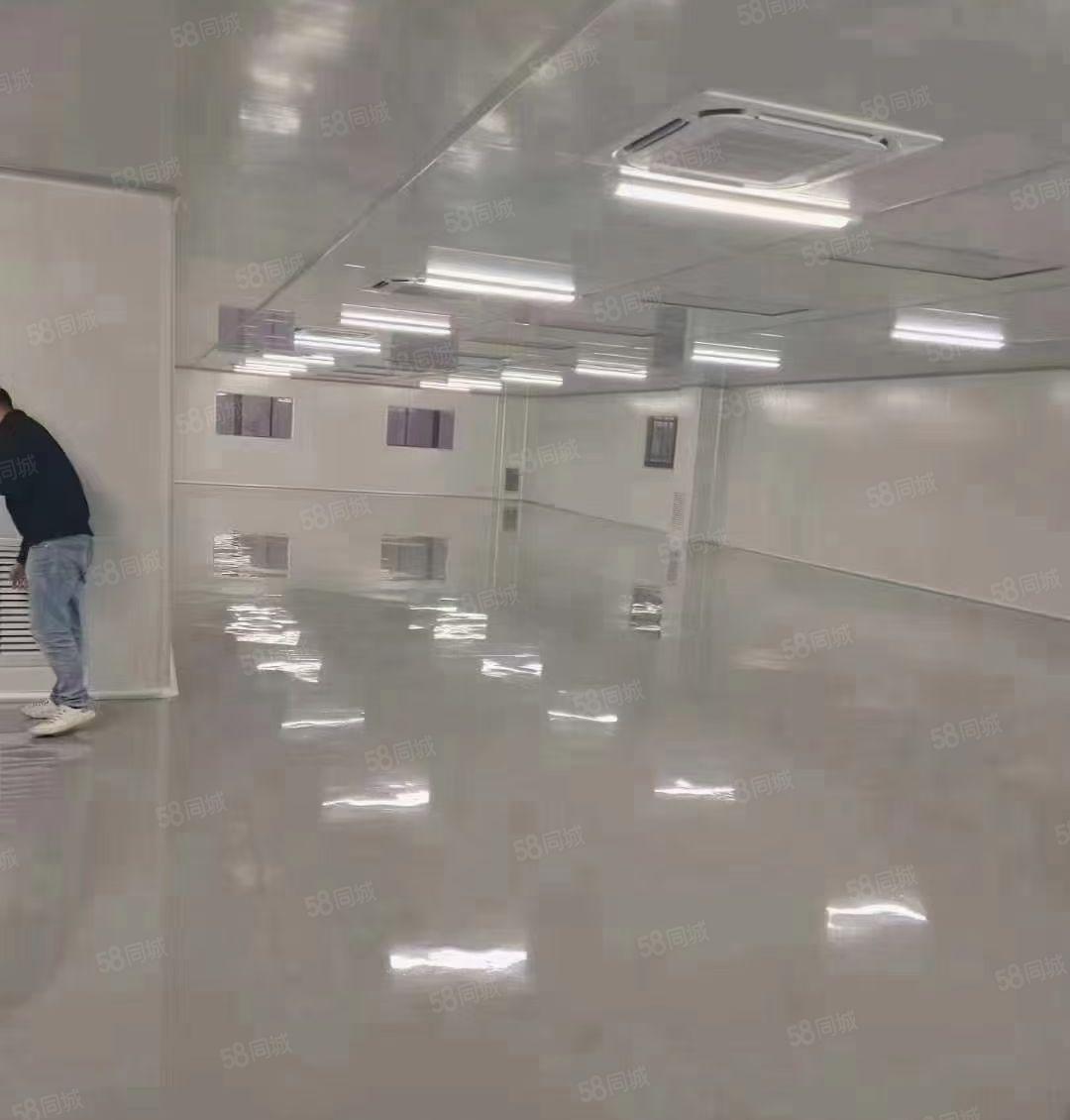 虎门镇北栅原房东三楼整层无尘车间4500平方厂房出租可以分租