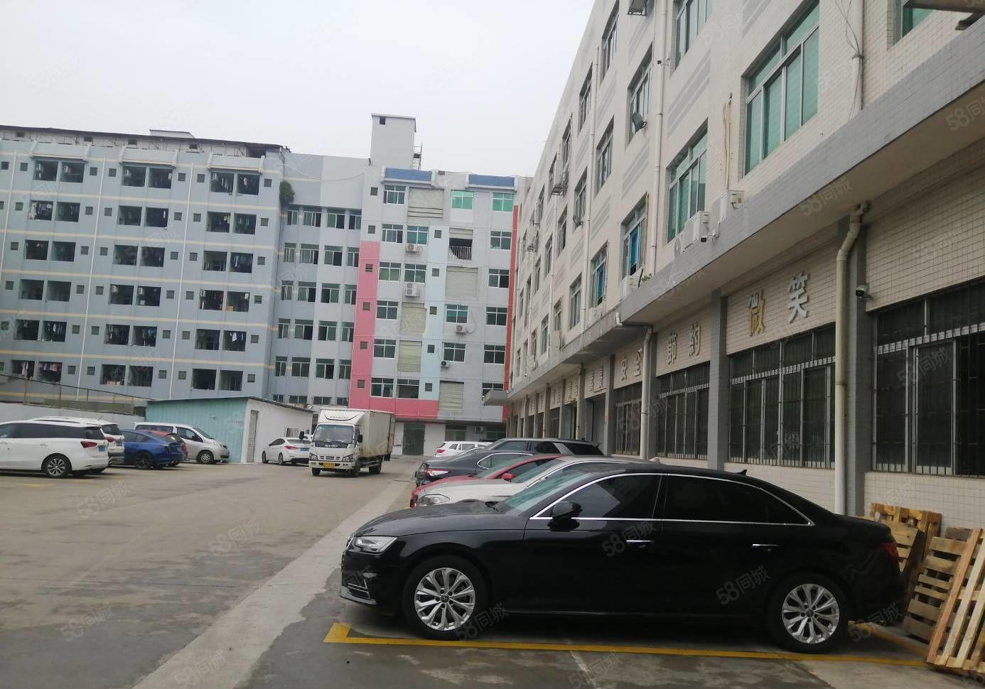 虎门镇中心博美新出楼上现成精装办公室330平 拧包入住