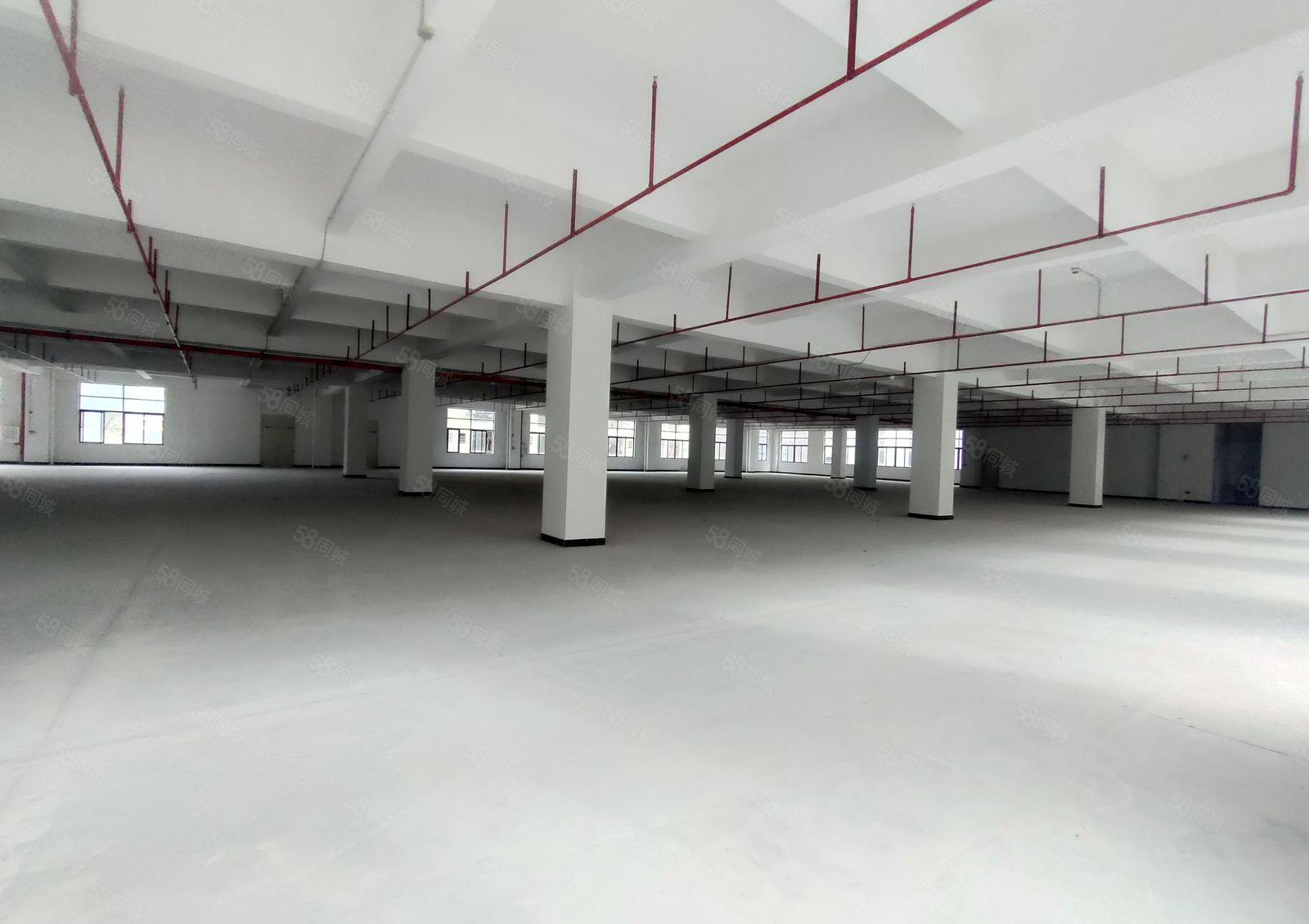 笋盘！虎门镇白沙二楼3580方花园式厂房出租现成消防喷淋