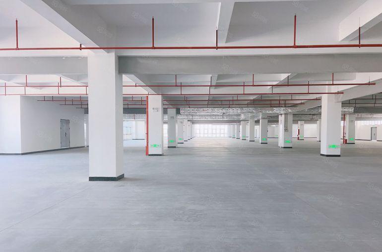 虎门北柵村委厂房红本厂房出租2000平方大小可分免租3个月