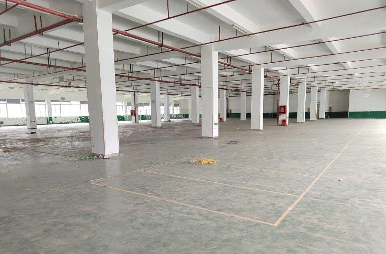 虎门南栅原房东花园式红本一楼1080平厂房出租高6米可分租