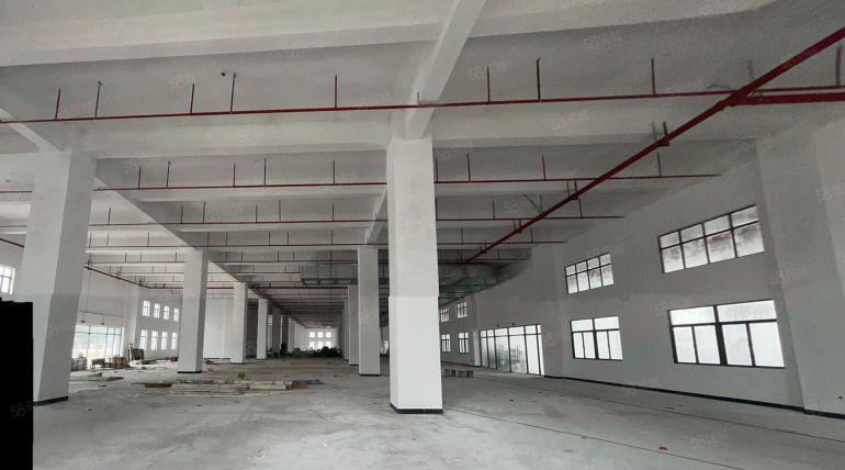 新盘带有红本全新厂房一层6000平有环评消防喷淋大小可分租