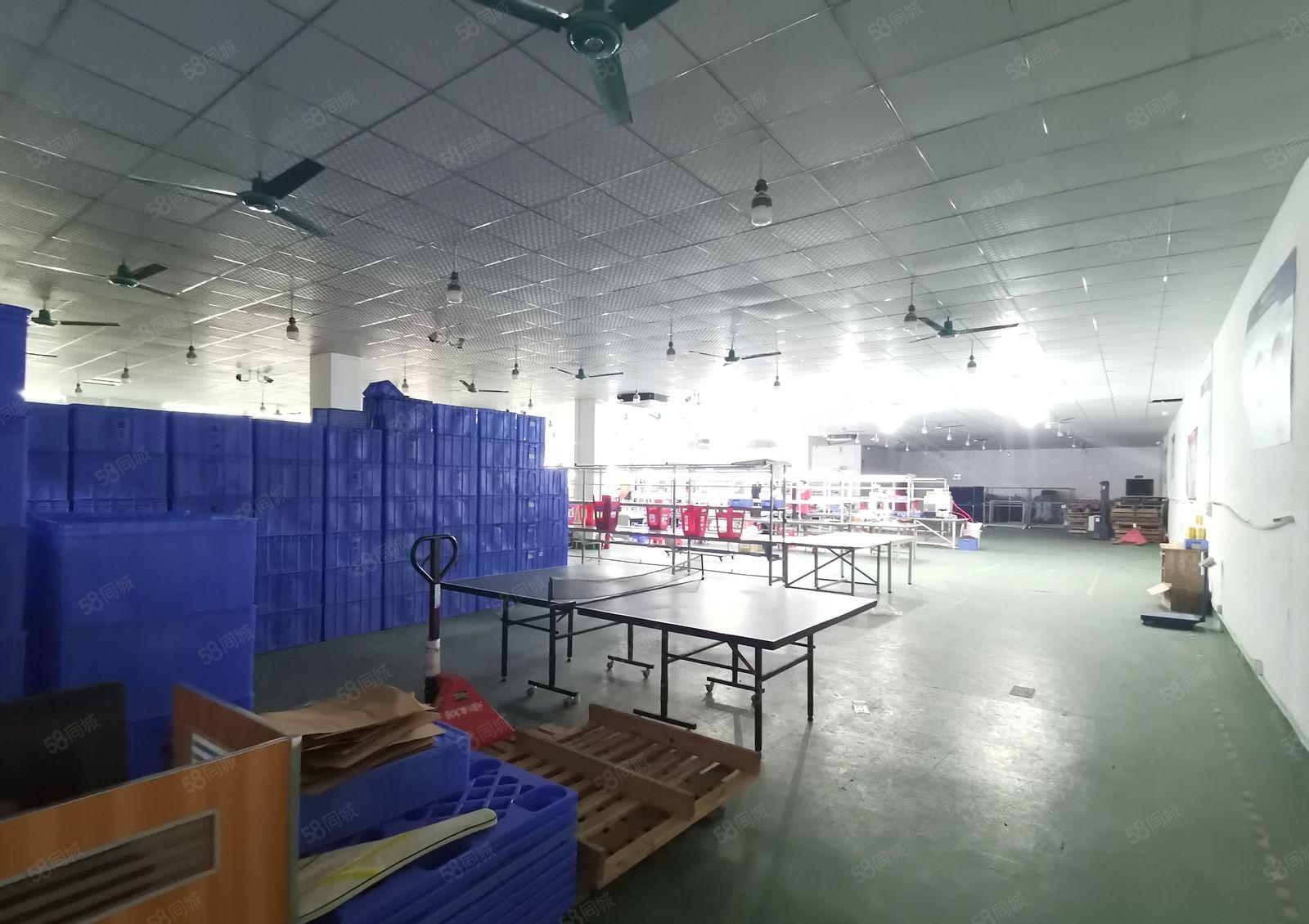 虎门北栅靠碧桂园附近新出楼上带装修1880平厂房