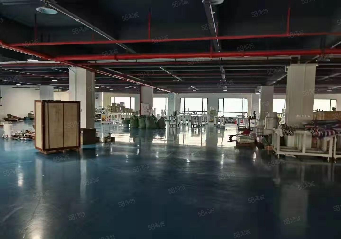 虎门怀德怀雅路新出租六楼，面积1700平方米