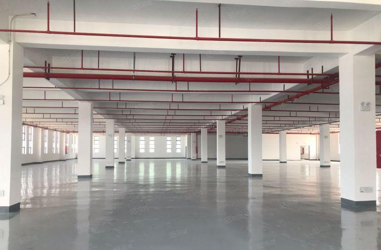 全新国有红本厂房，全新地坪漆有消防一楼层高7米，楼上5米