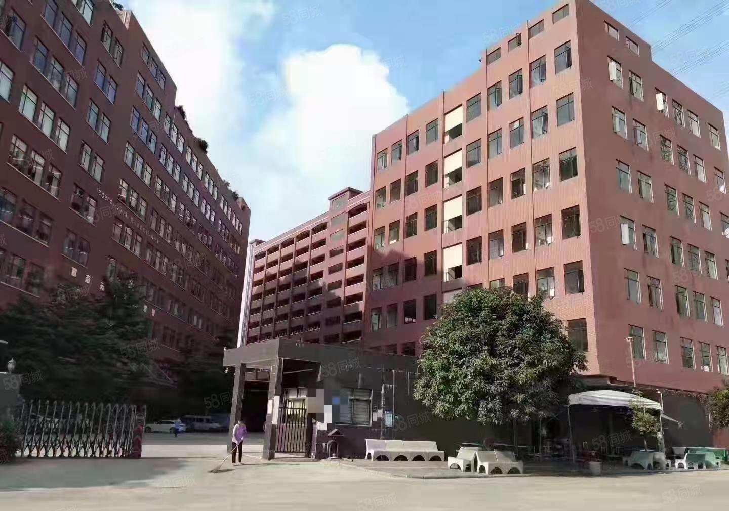 怀德独门独院二楼整层1580平厂房招租 可办环评 水电办公室