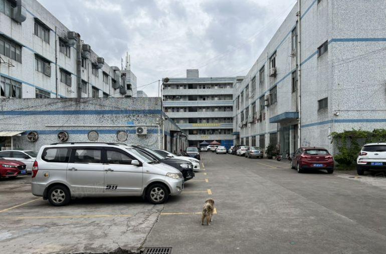 虎门新空独院单一层砖墙到顶厂房600平，带隔热现在办公水电线