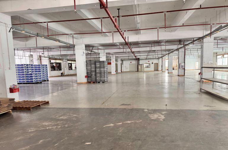 300起分租，虎门原房东电商物流厂房仓库出租楼上2500平方