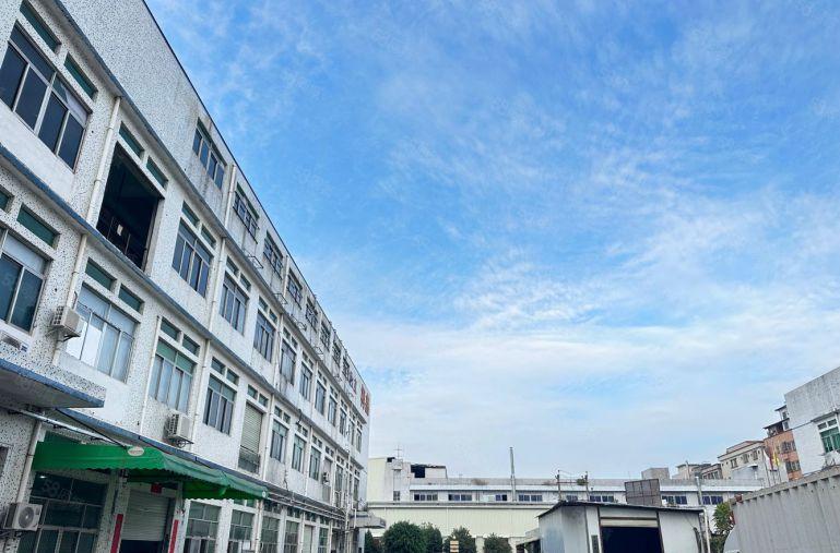 虎门树田树安工业区独门独院厂房出租