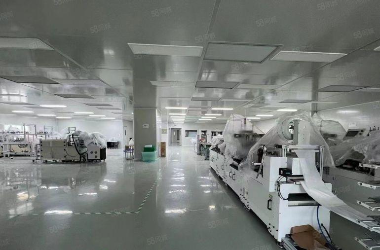 虎门镇 怀德现成千级无尘车间2300平方适合医疗口罩行业