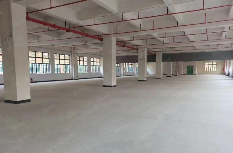上市公司集团分租全新厂房五证齐全，花园式厂房，价格16元起