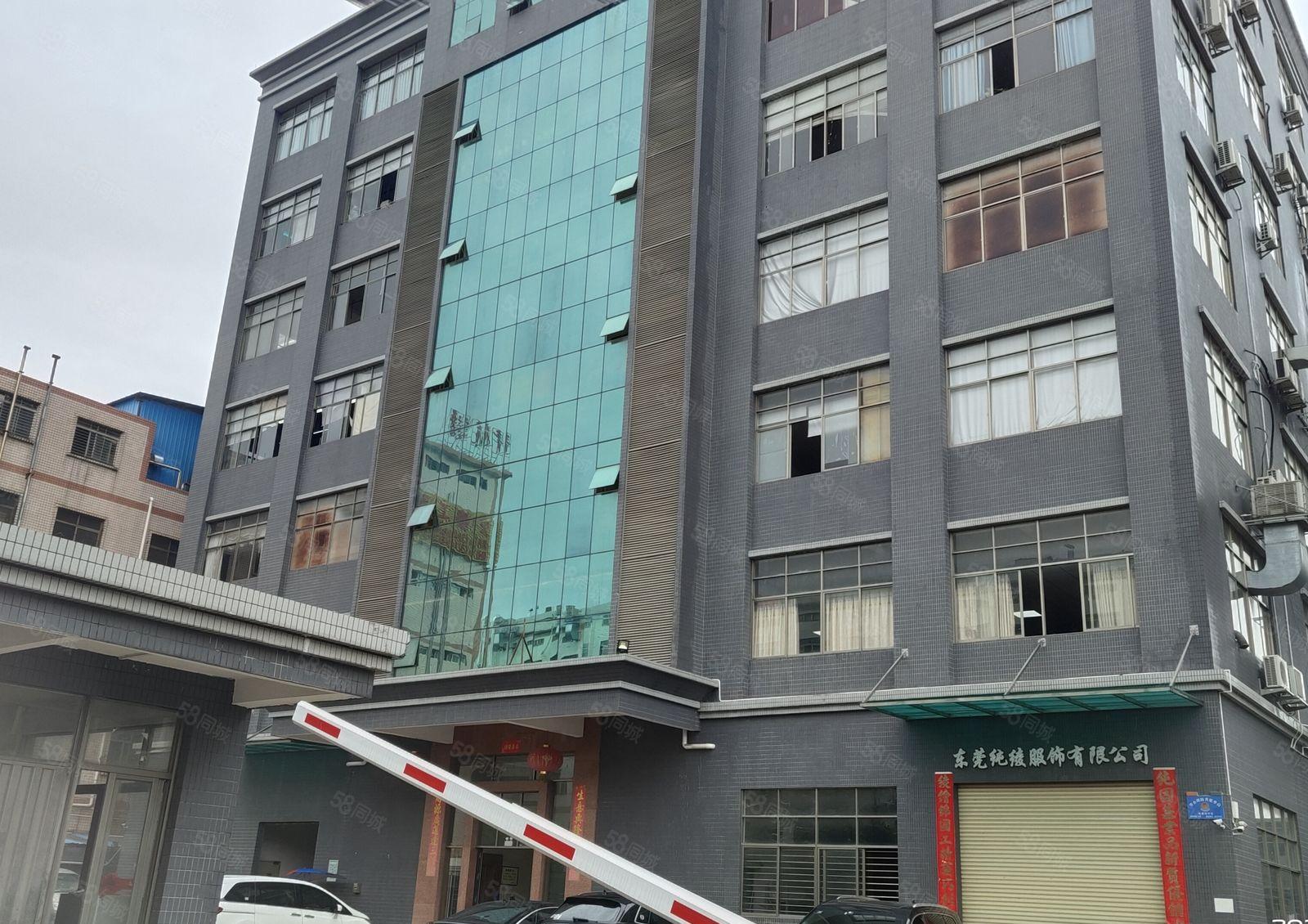 虎门龙眼新出独门独院带消防喷淋一楼1450平可办环评水电齐全