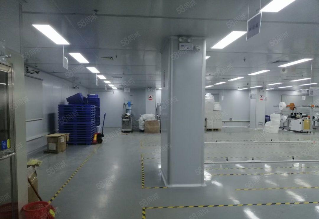 虎门镇原房东厂房2万，宿舍6000平方，独门独院无尘车间招租