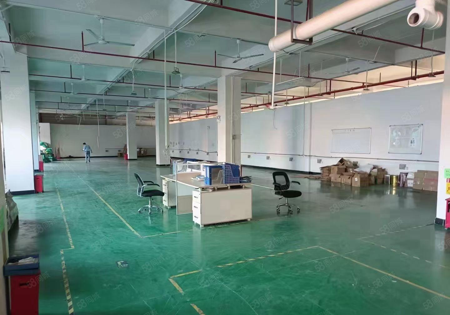 虎门怀德楼上1800平 2900平带装修厂房 可办环评