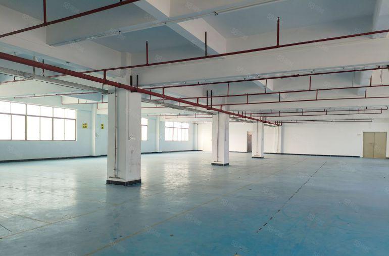 虎门怀德楼上1250平方带精装修，水电齐全，可伶包入厂