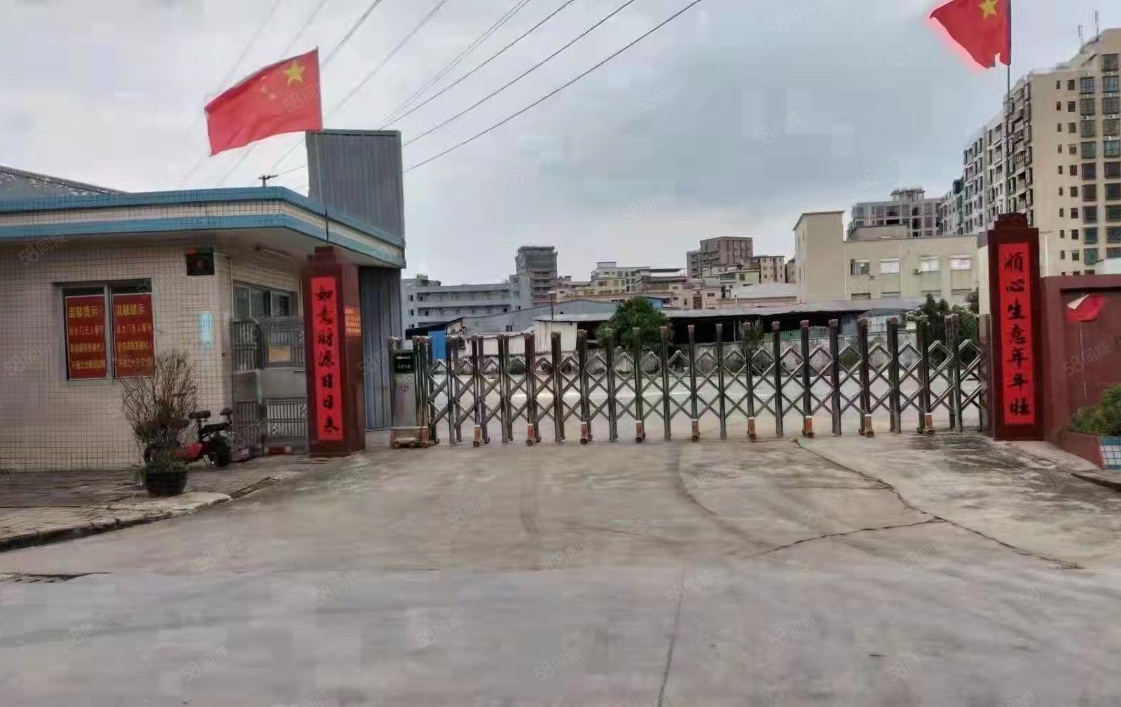 出租园区厂房或仓库虎门路东钢构7800平，宿舍1600平