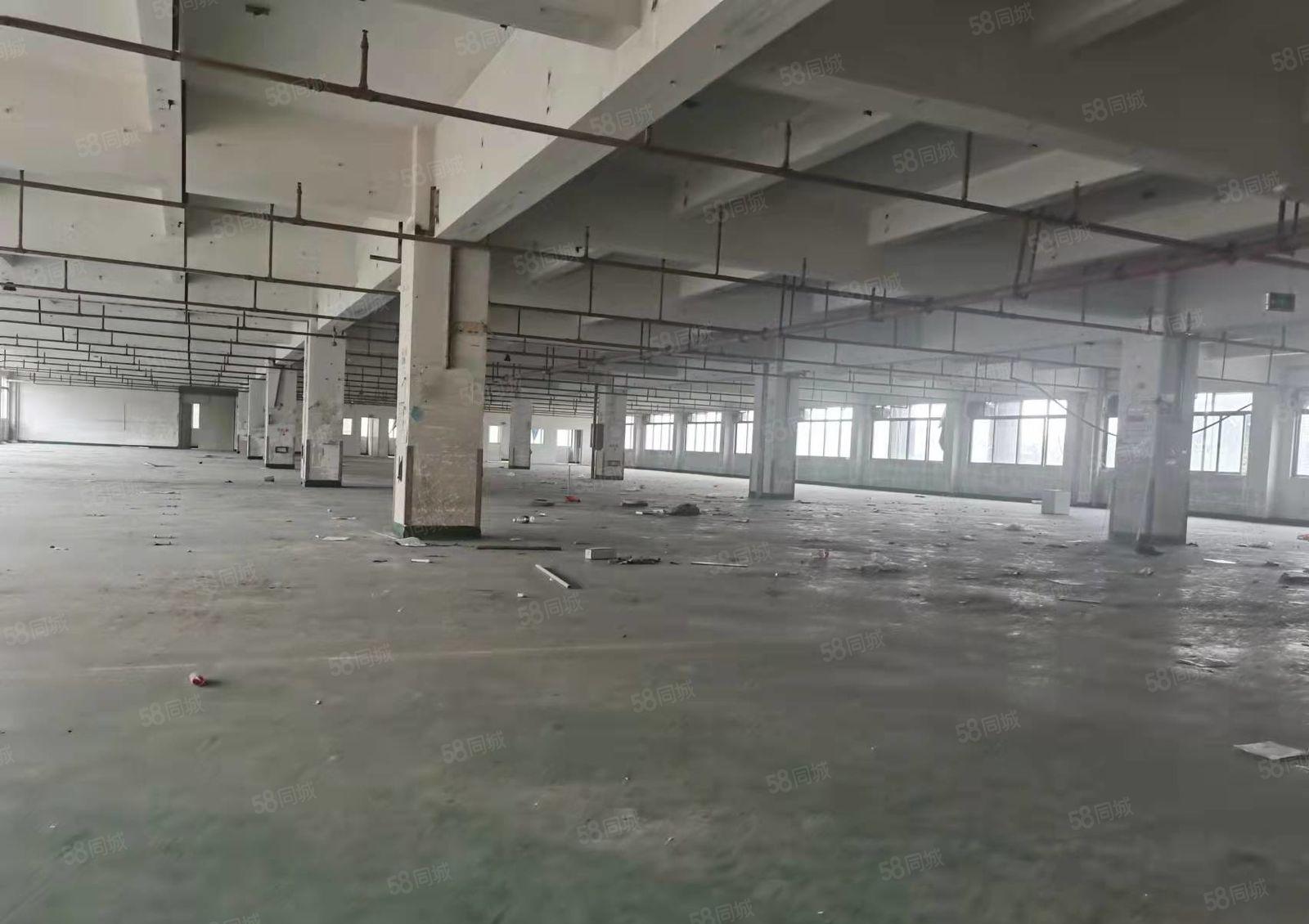 龙眼村新空出原房东独院厂房出租，价格优惠