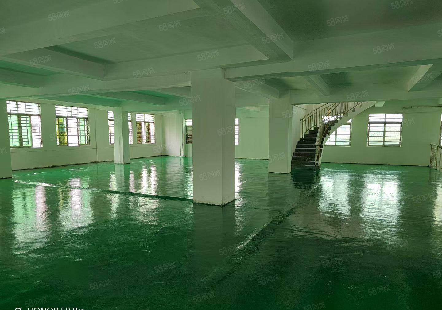 原房东零公摊！虎门北栅新空出楼上650平方实际建筑面积出租！