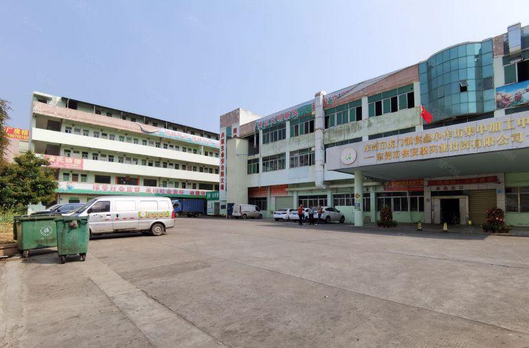 虎门北栅带环评食品产业园出租
