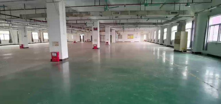 虎门赤岗独院花园式超靓厂房出租