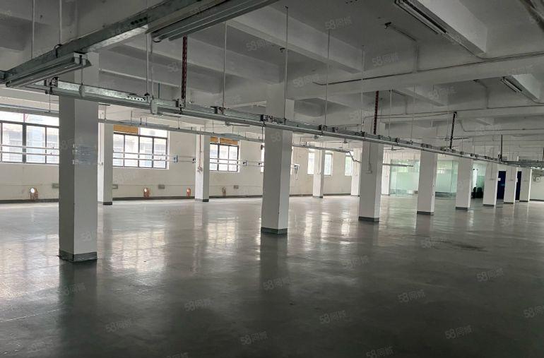 现成制衣线路新出二楼一整层带有水电办公室齐全